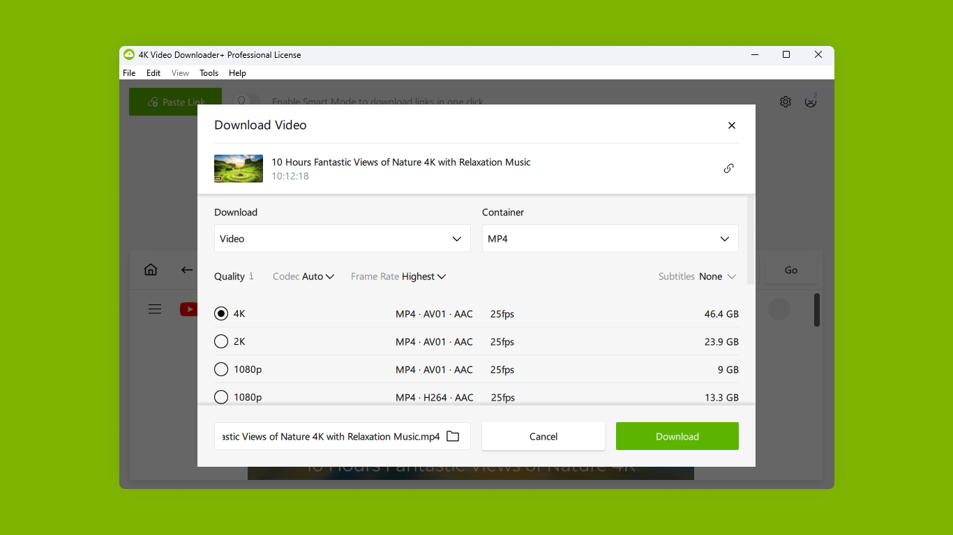 4K Video Downloader interface